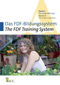 Das FDF-Bildungssystem Modul A