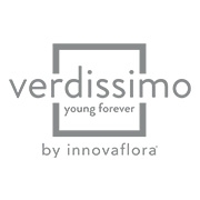 verdissimo - young forever